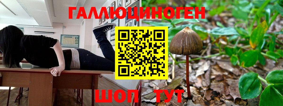 Псилоцибиновые грибы Magic Shrooms  Вход с VPN  Семёнов 