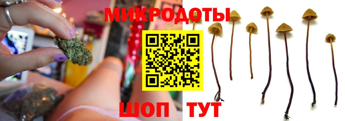 Псилоцибиновые грибы Psilocybe Семёнов